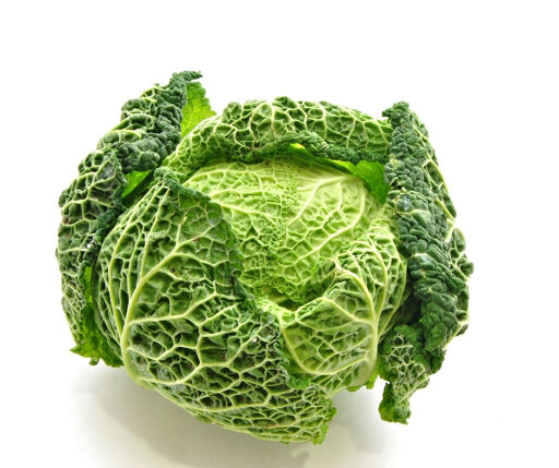 Chou Vert Frise