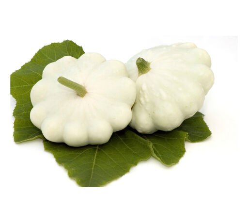 Courge Patisson