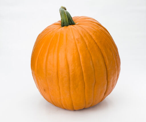 Courge Potimarron Orange