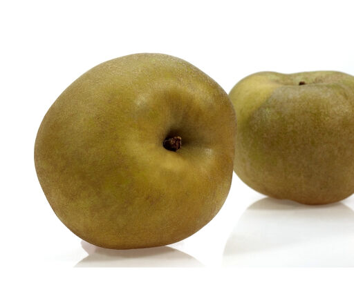 Pomme Canada Grise 150/180